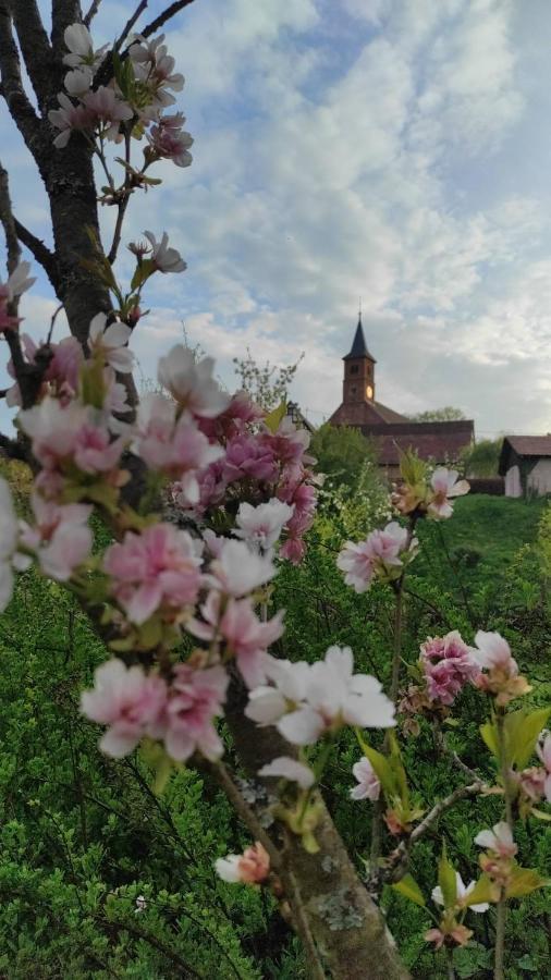 Gite Au Petit Ruisseau-Etage Et Combles-Maison Alsacienne 4 Personnes 4 Nuitees Minimum Langensoultzbach 外观 照片