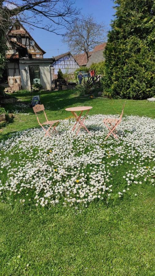 Gite Au Petit Ruisseau-Etage Et Combles-Maison Alsacienne 4 Personnes 4 Nuitees Minimum Langensoultzbach 外观 照片