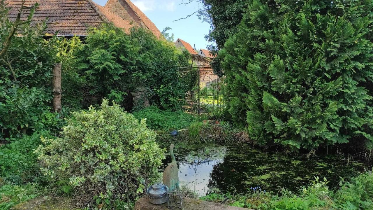 Gite Au Petit Ruisseau-Etage Et Combles-Maison Alsacienne 4 Personnes 4 Nuitees Minimum Langensoultzbach 外观 照片
