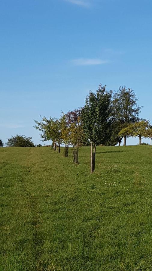 Gite Au Petit Ruisseau-Etage Et Combles-Maison Alsacienne 4 Personnes 4 Nuitees Minimum Langensoultzbach 外观 照片
