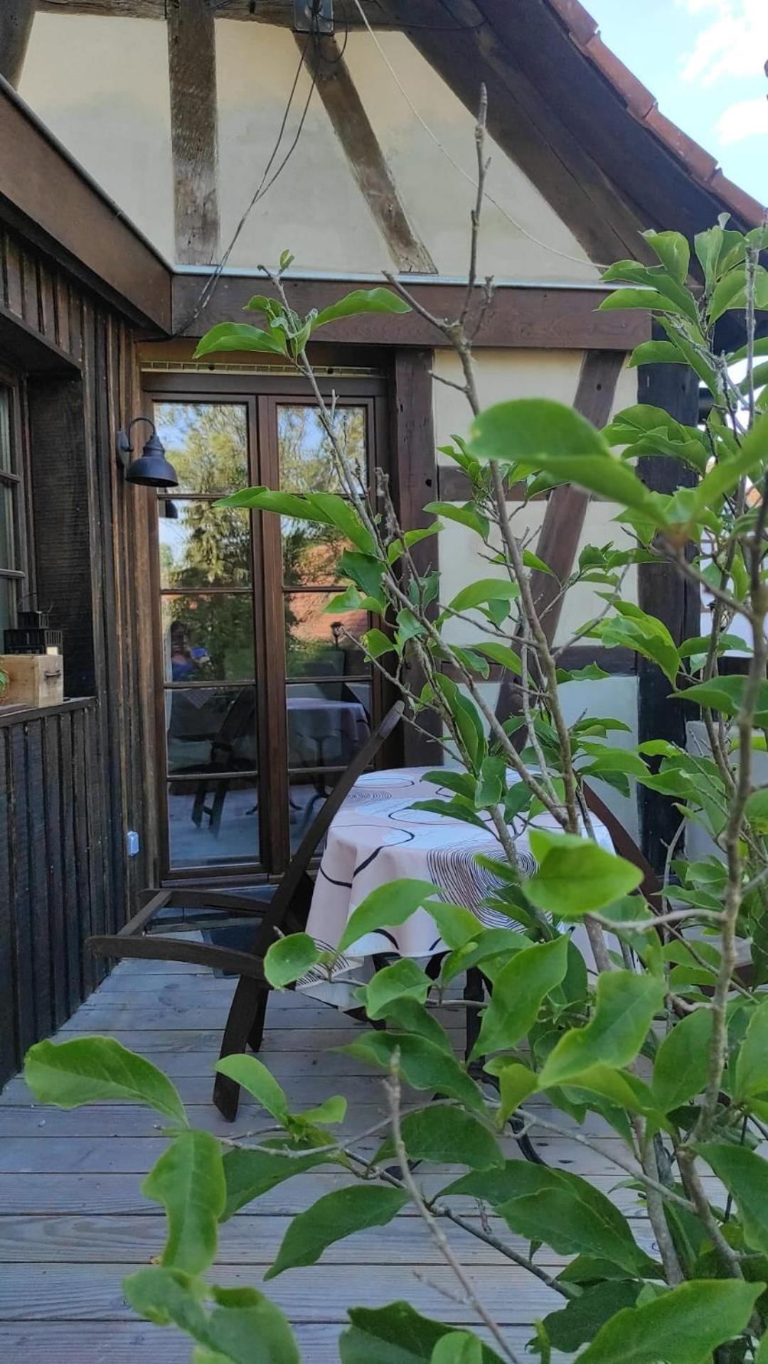 Gite Au Petit Ruisseau-Etage Et Combles-Maison Alsacienne 4 Personnes 4 Nuitees Minimum Langensoultzbach 外观 照片